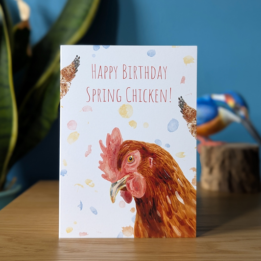 funny chicken birthday card for adults featuring a chicken peering out of the card with the message happy birthday spring chicken!
