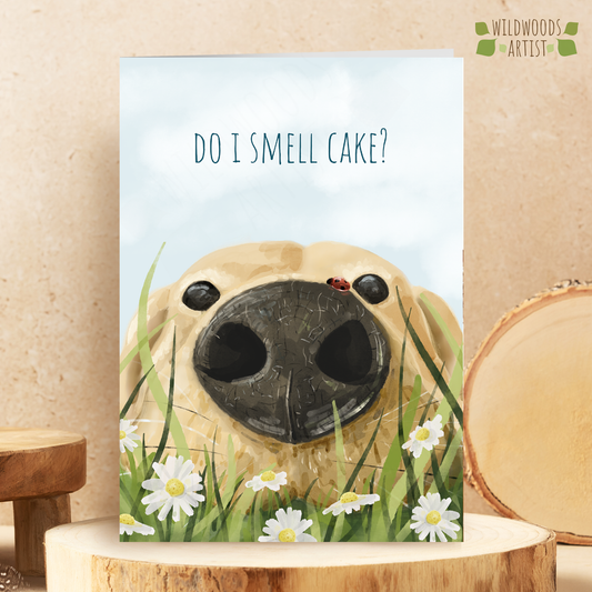 dog sniffing birthday cake -Labrador Birthday Card