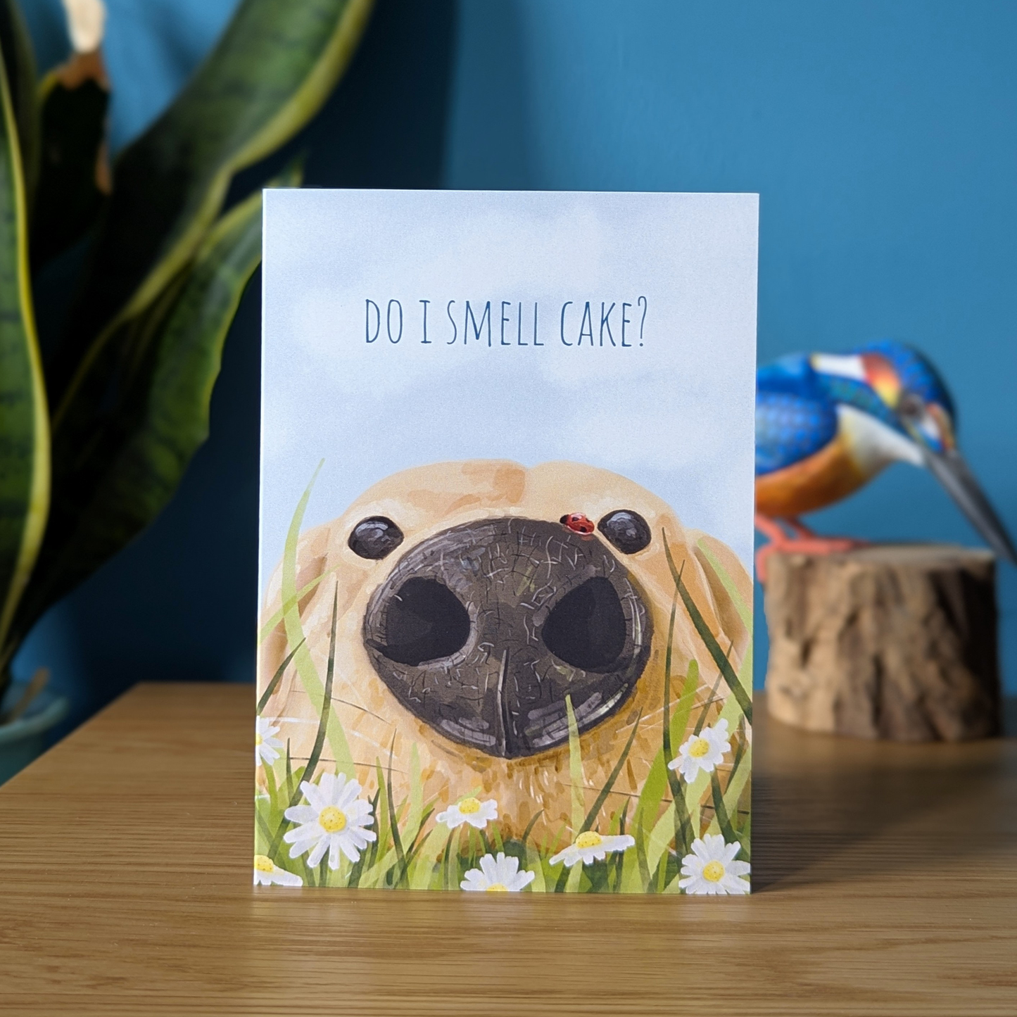 labrador birthday card, with a close up of  the dogs nose in the grass and daisies, with the message 'do i smell cake?'