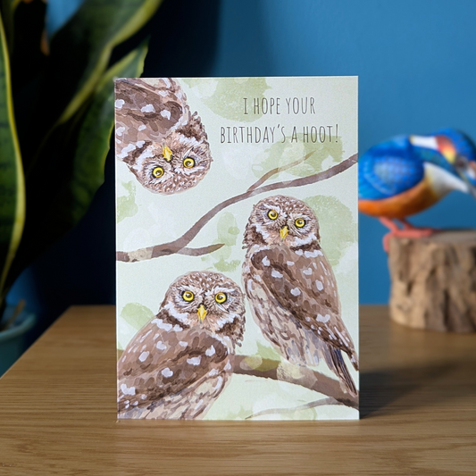 three little owls on a birthday card with the message 'i hope your birthday's a hoot!'